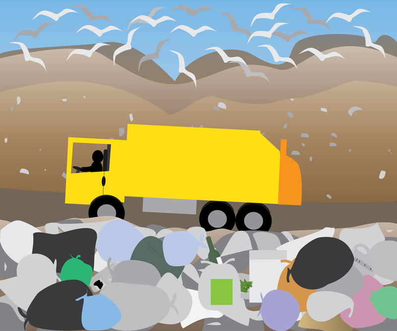 Innovative Approaches to Eco-friendly Packaging and Cardboard Disposal